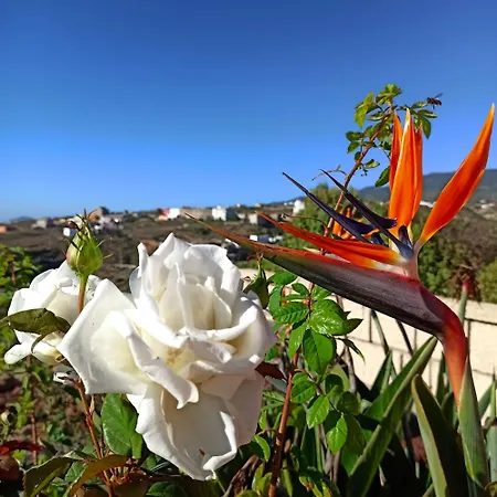 Appartamento Casa Tamara 1 - Quiet Flat With Pool Great View Of The Mountains And The Sea *